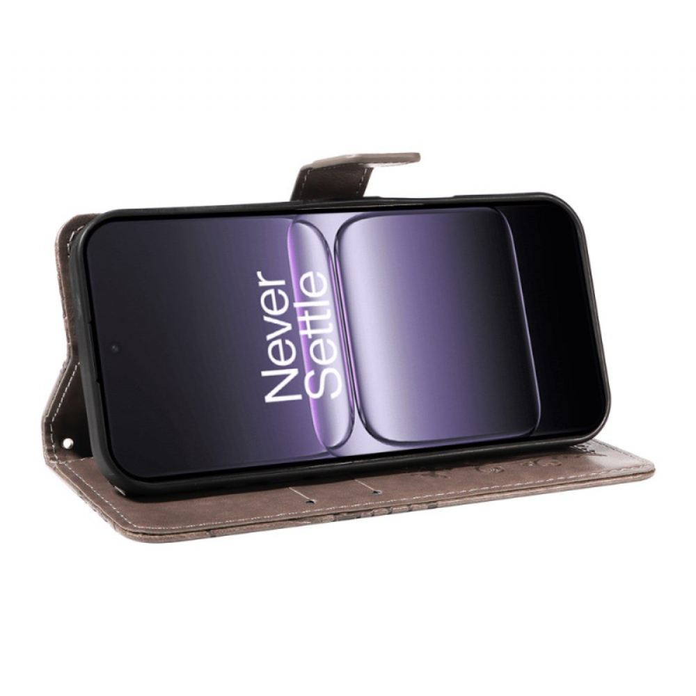 Peněženková Pouzdra Oneplus Nord 5 Velká Motýli