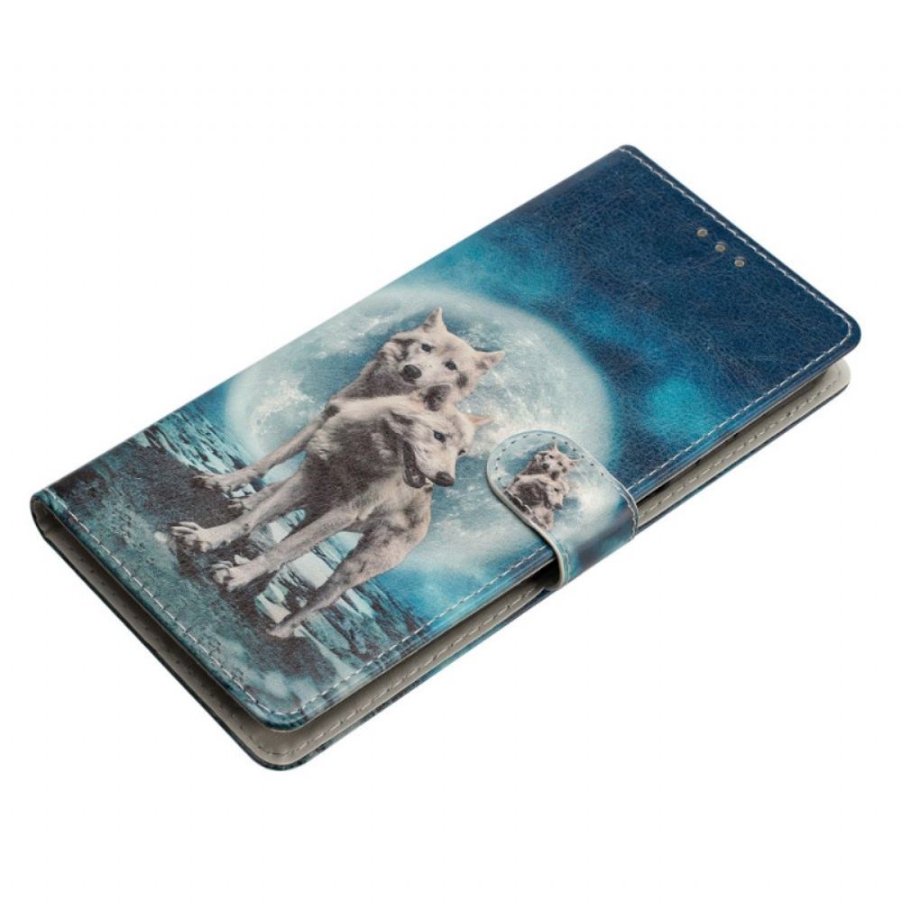 Kožený Kryt Na Samsung Galaxy S24 Plus 5g Dva Vlci S Popruhy