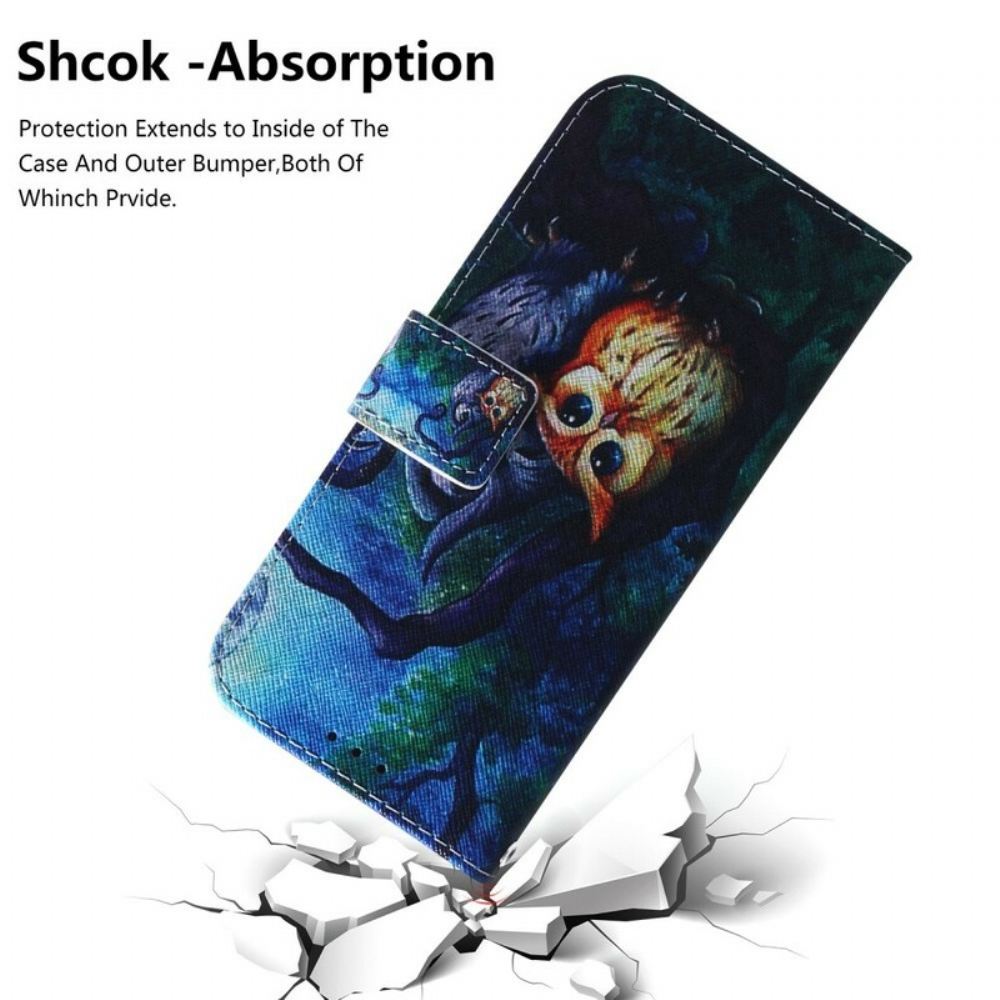 Flipové Pouzdro Na Xiaomi Redmi Note 7 Malování Sov