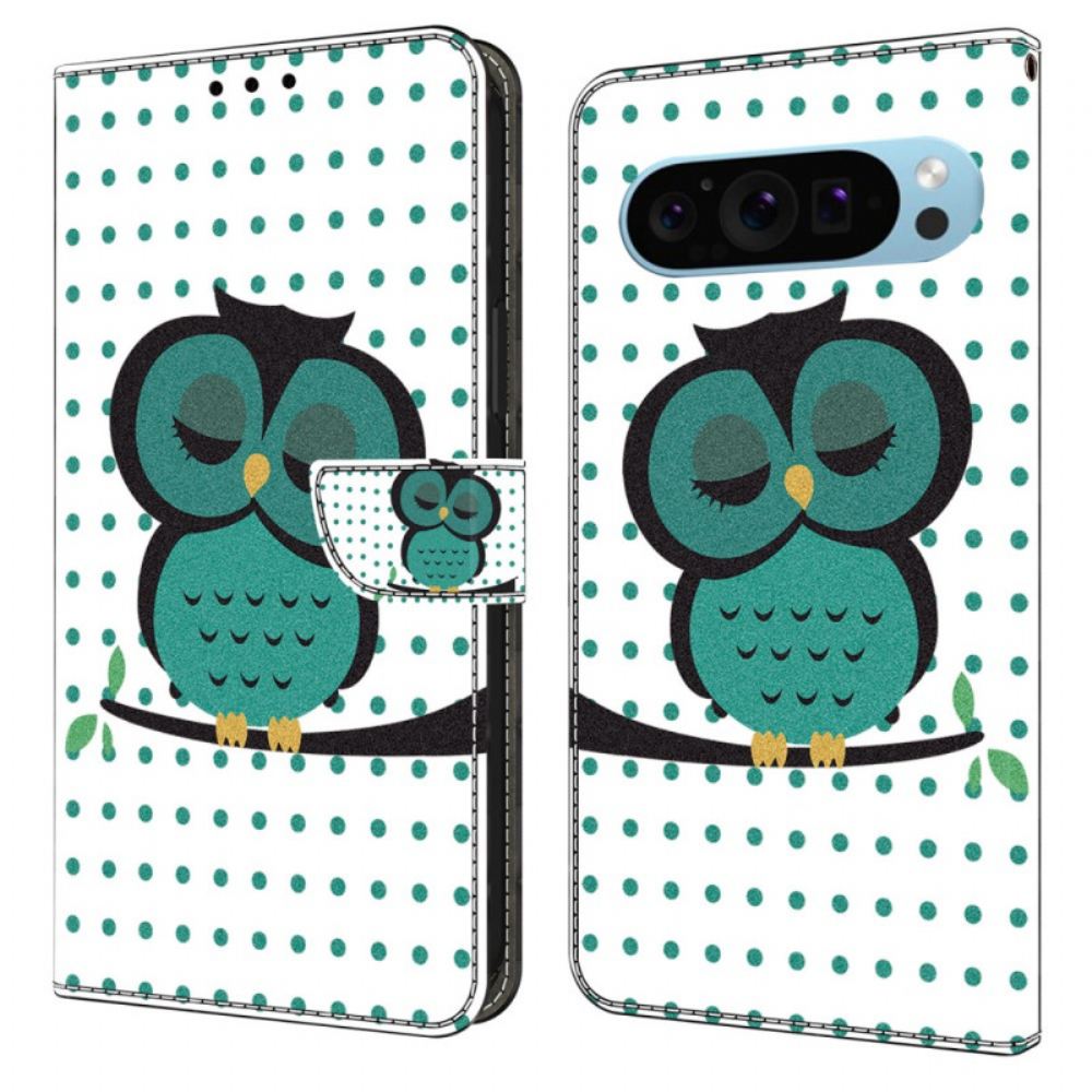 Kožený Kryt Google Pixel 9 Pro Xl Spící Sova