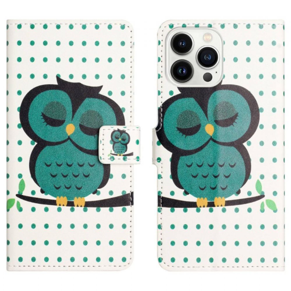 Kožené Pouzdro Na iPhone 14 Pro Spící Sova