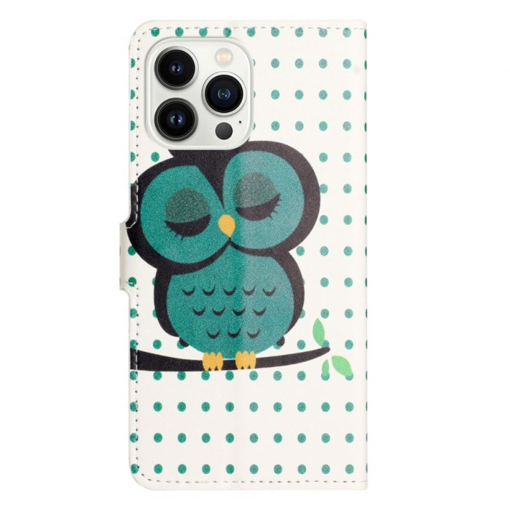 Kožené Pouzdro Na iPhone 14 Pro Spící Sova